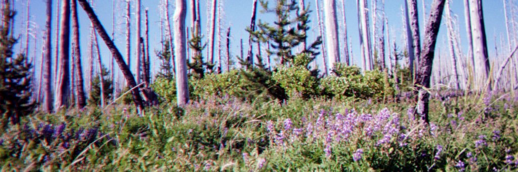 madison_kaplan's profile banner image