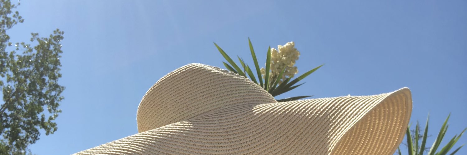 . Ley ✲ 🔆. banner