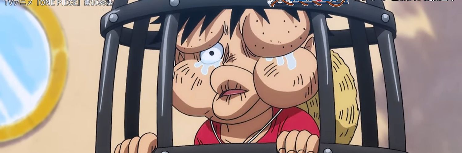 tak294's profile banner image