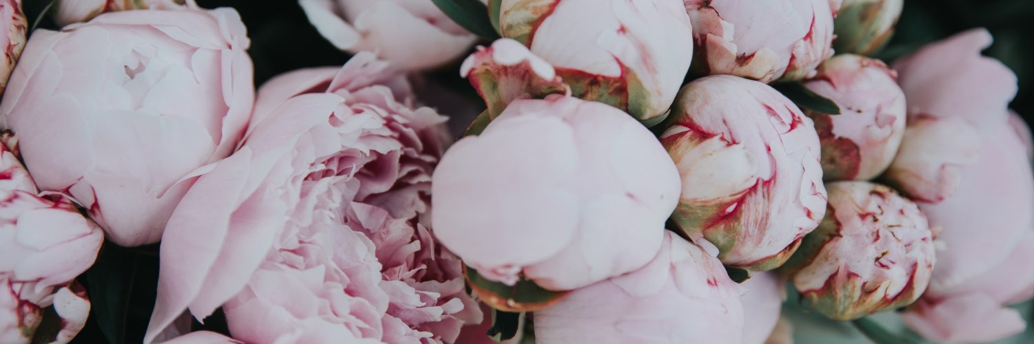 _sutema_'s profile banner image