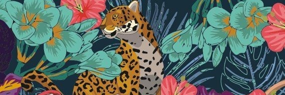 Solerdgzz's profile banner image