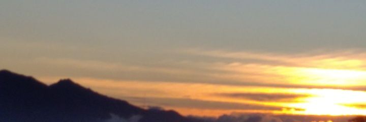 esme213's profile banner image