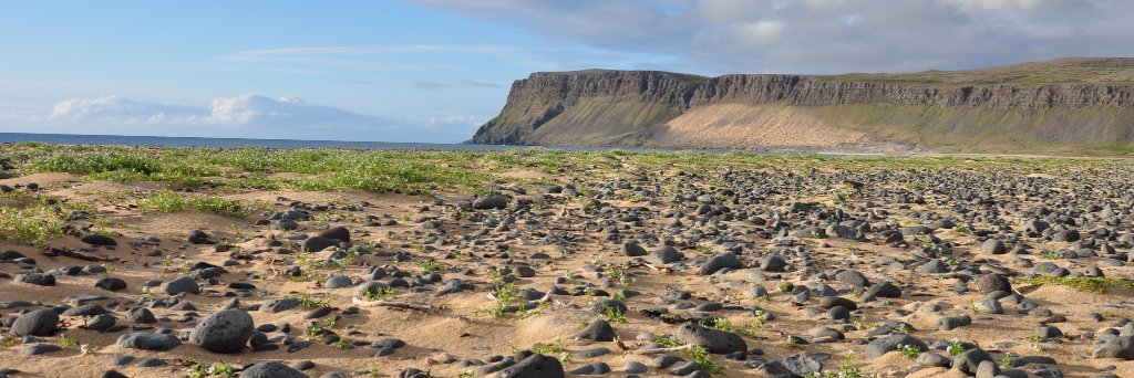 Simon Rott  banner