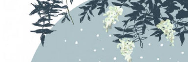 beni0069's profile banner image