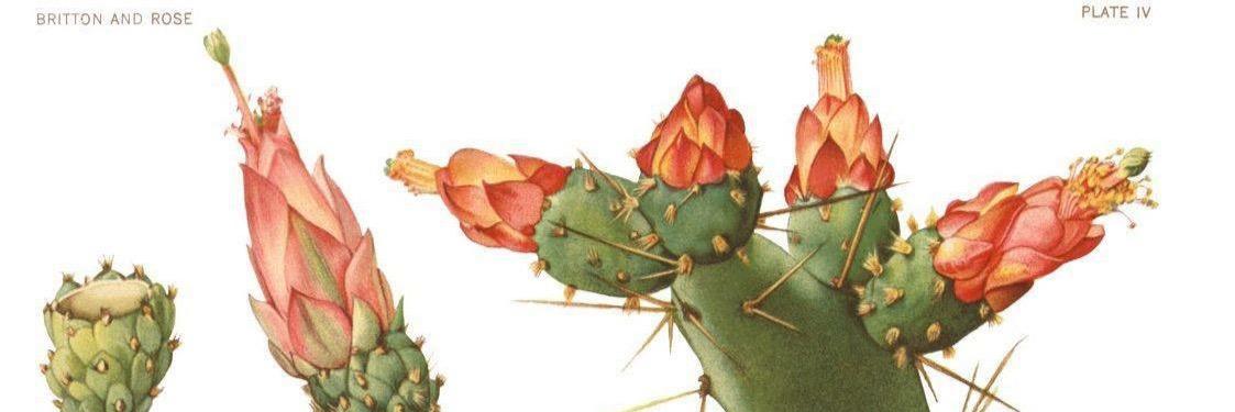 letyesquer's profile banner image