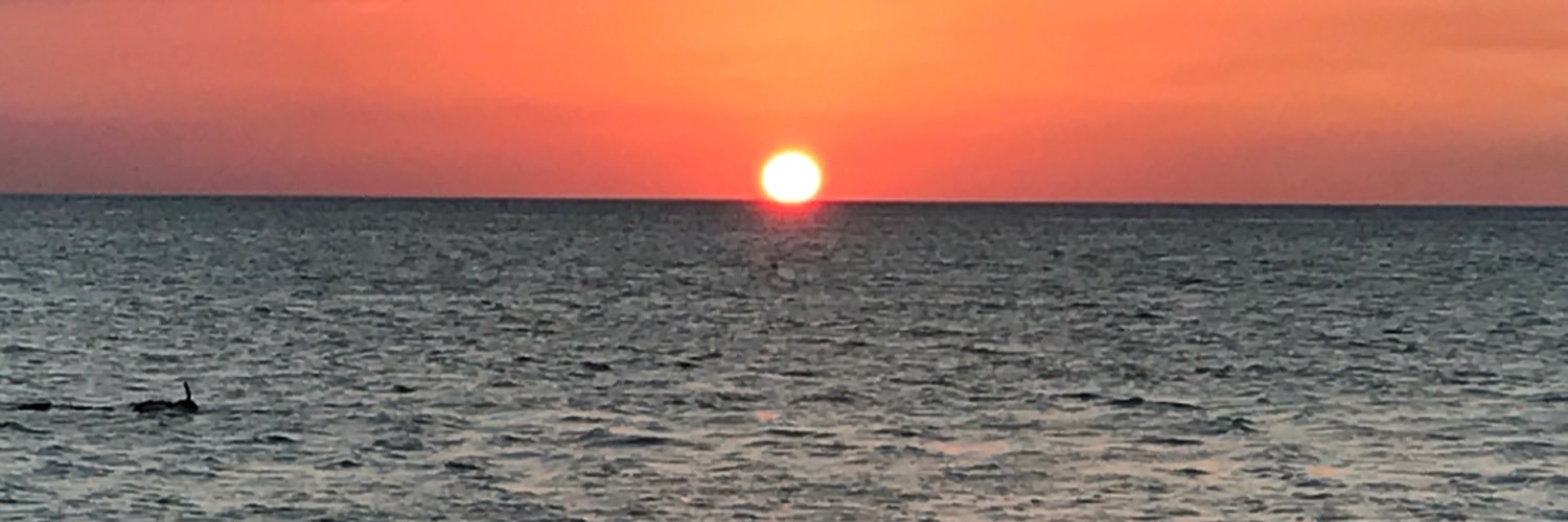 CarlosCollazo08's profile banner image