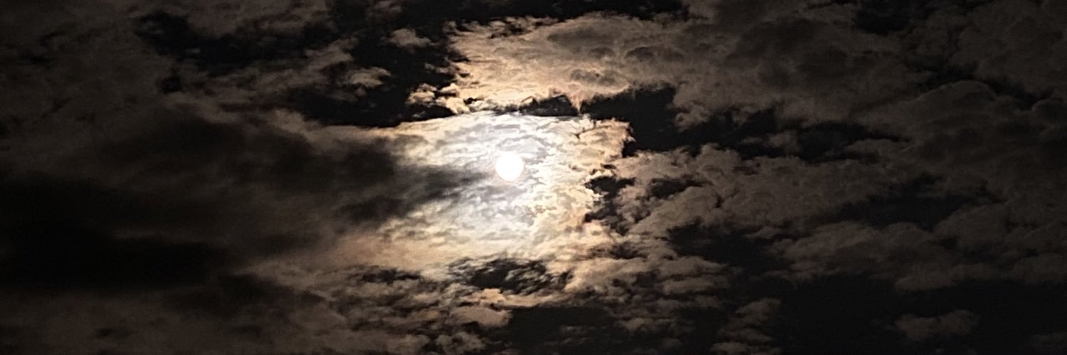 MSyak99's profile banner image