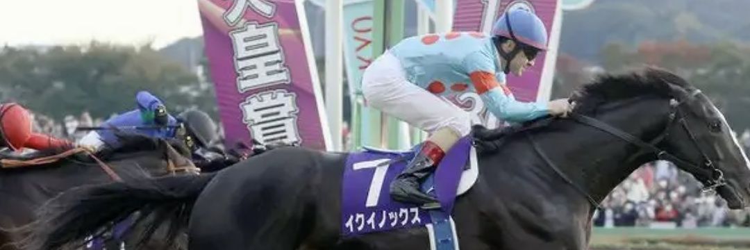 ぽんち～かん🏇 banner
