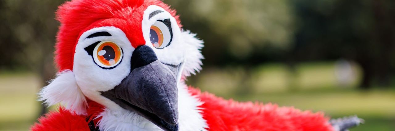 Zack Bird's banner