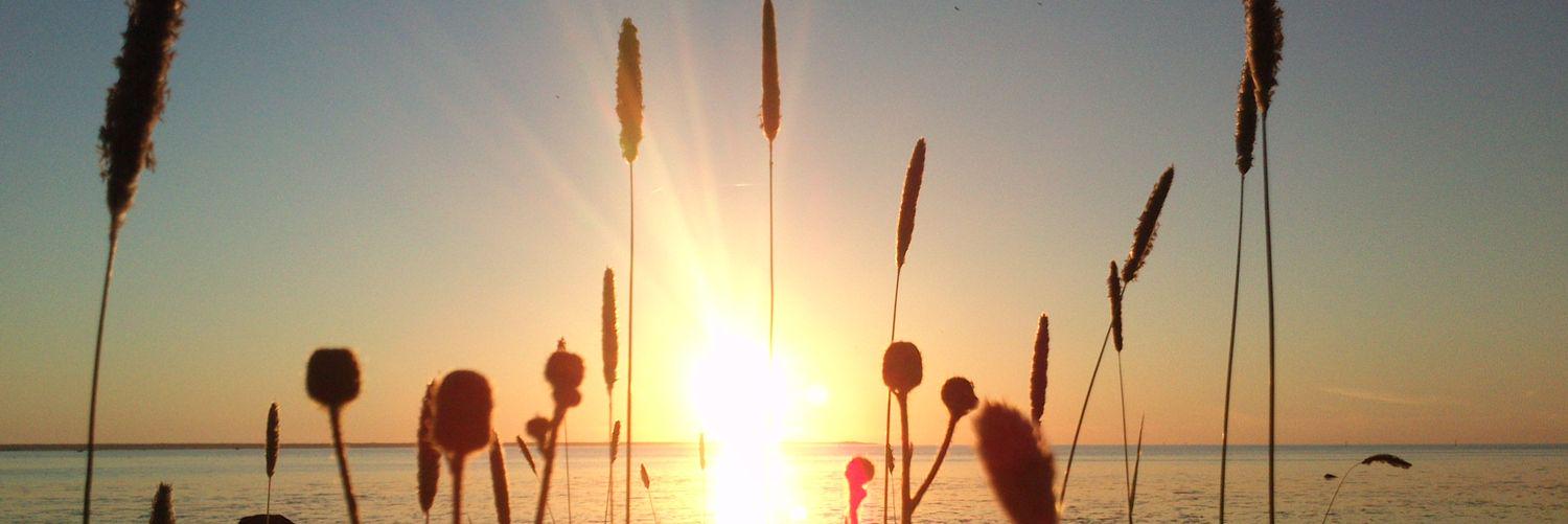 MerjeReismaa's profile banner image