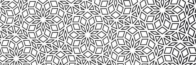 Melissa Iruegas banner