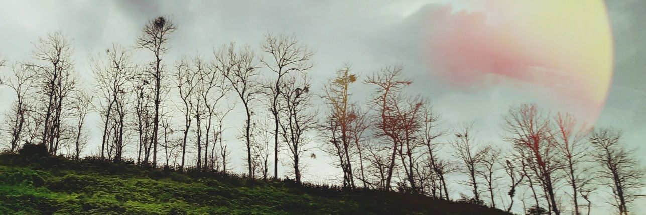 shoosgg's profile banner image