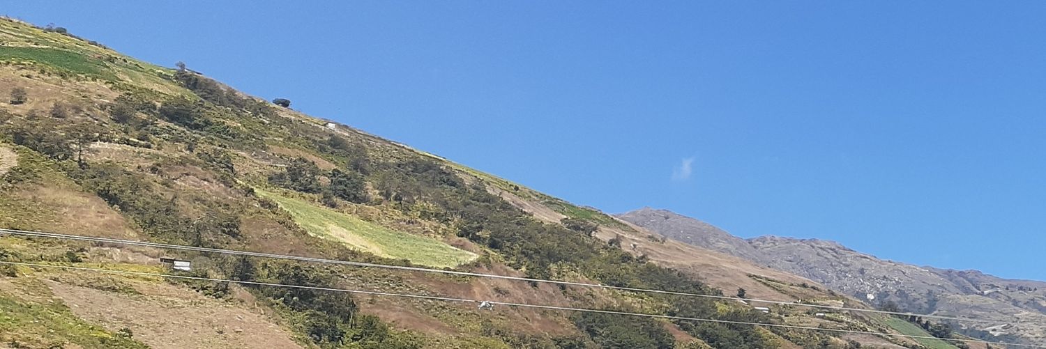 WenDavidM's profile banner image