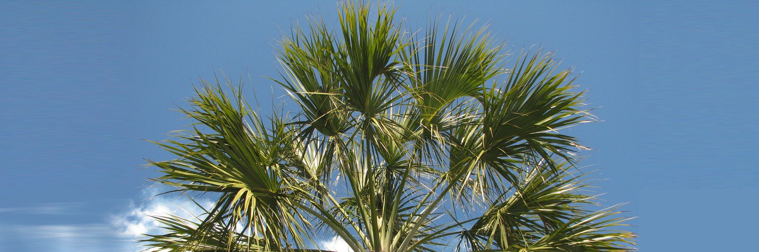 SC Education Policy Fellowship Program banner