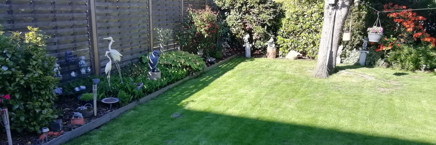 Wim 🇧🇪🇮🇱❤️☘️☕🏆🙏♨️⚽ banner