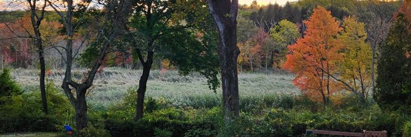 Joseph Haggan Profile Banner