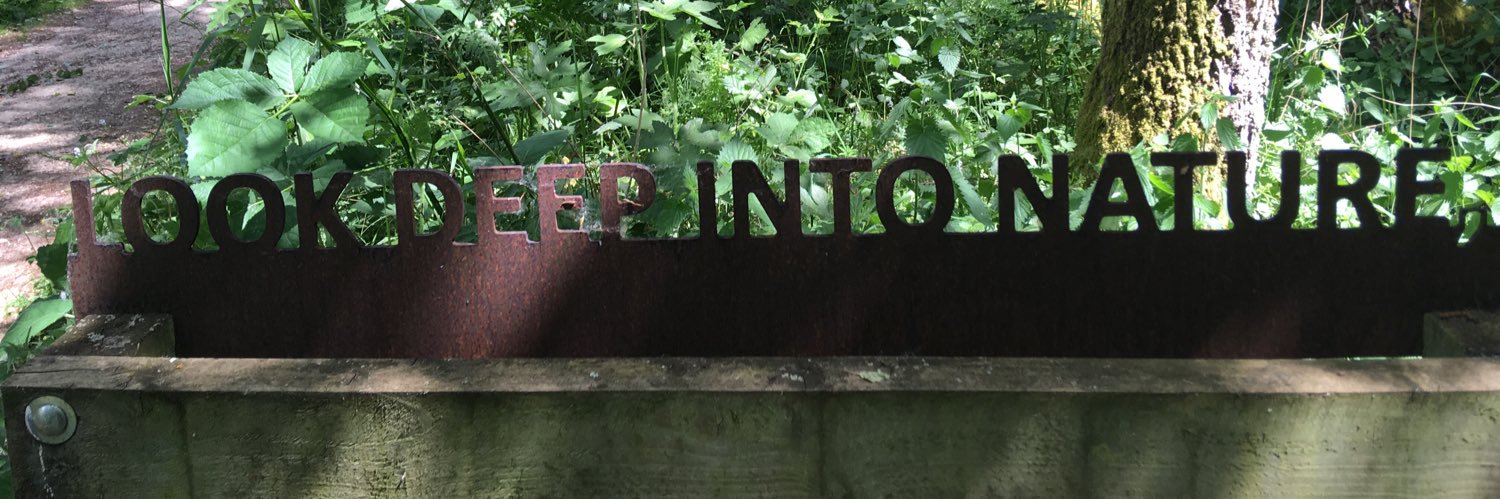 pippa_foster's profile banner image
