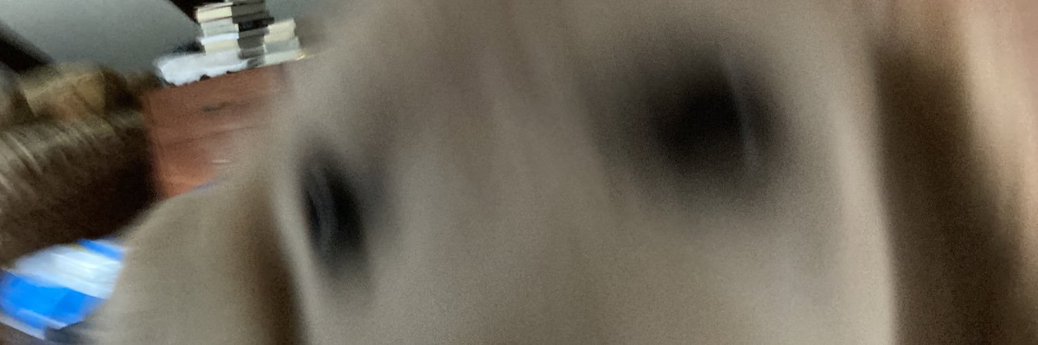 meowzers ‹𝟹 banner