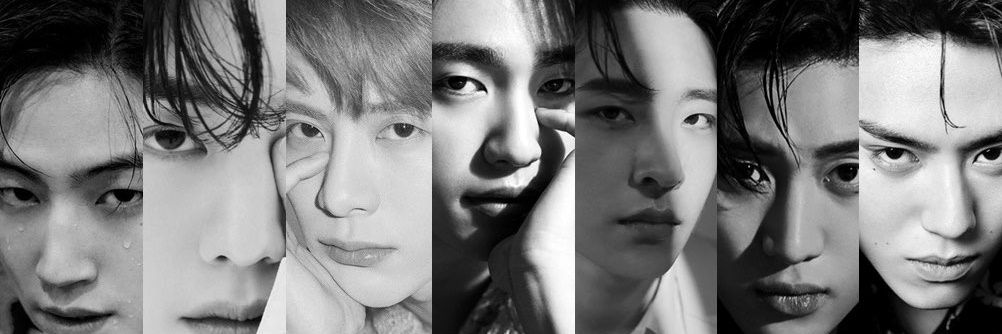 BirdOfParadise💜💚🐻‍❄️🐳🌞🌛🦊🍅 banner