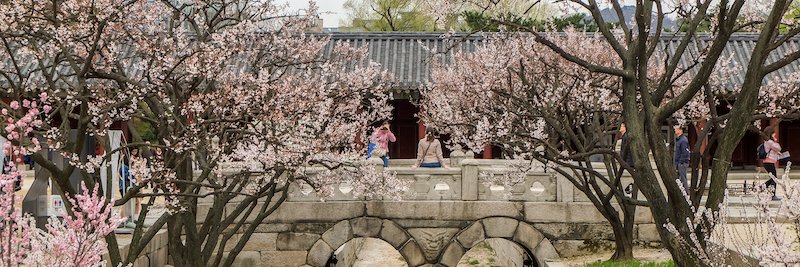 Marian Ledesma banner