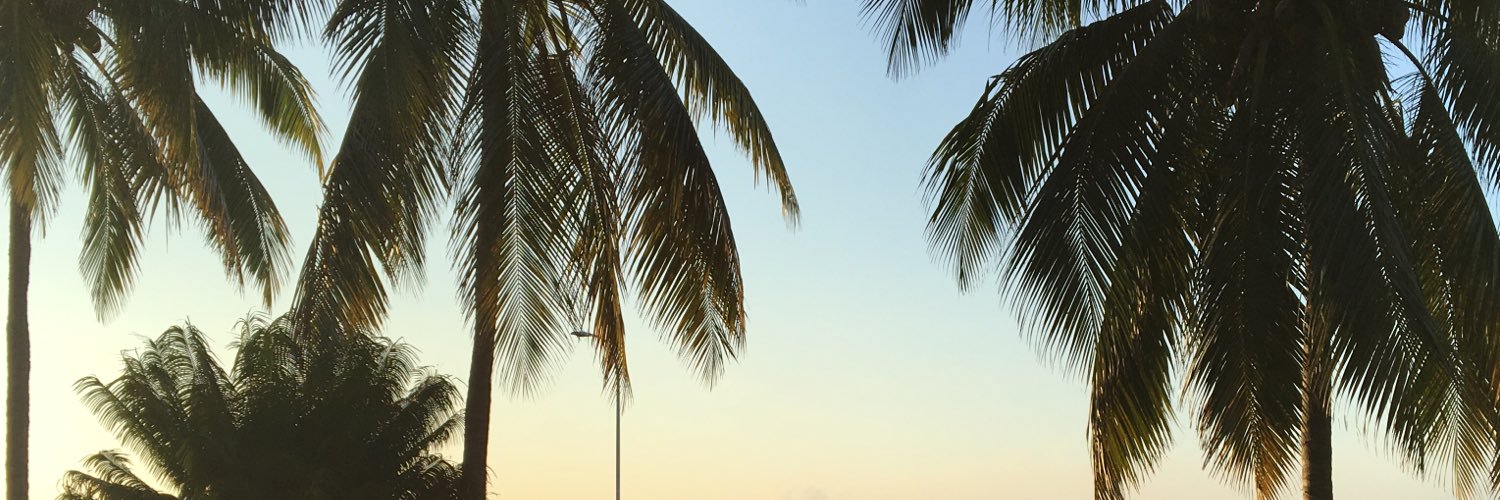 SarahKuda's profile banner image