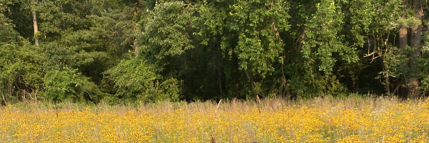 HaileyP93154992's profile banner image