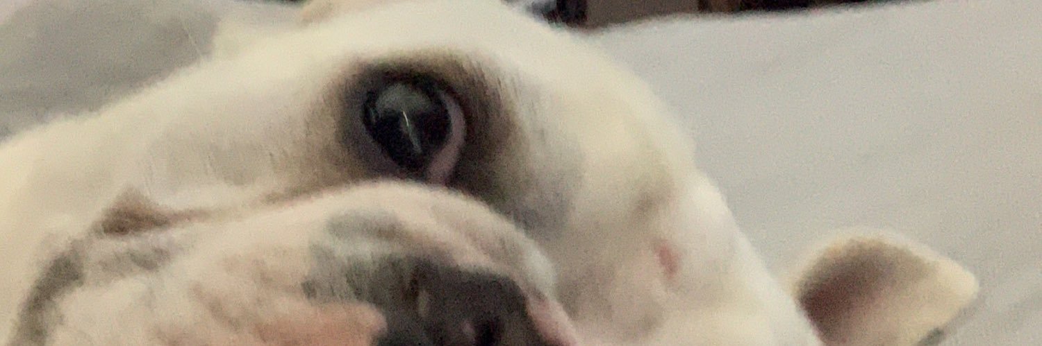 Elbuenpops's profile banner image