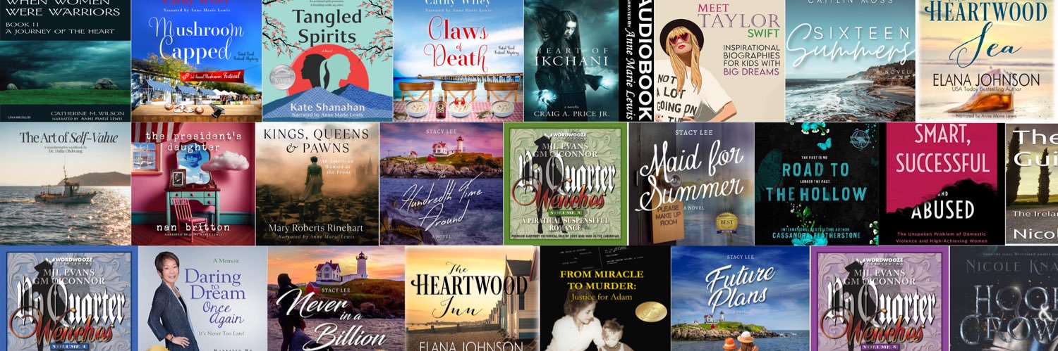 Anne Marie Lewis 🇺🇸🇮🇪🇵🇭 banner