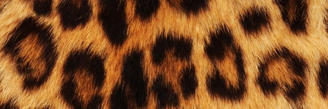 MallanSarah's profile banner image