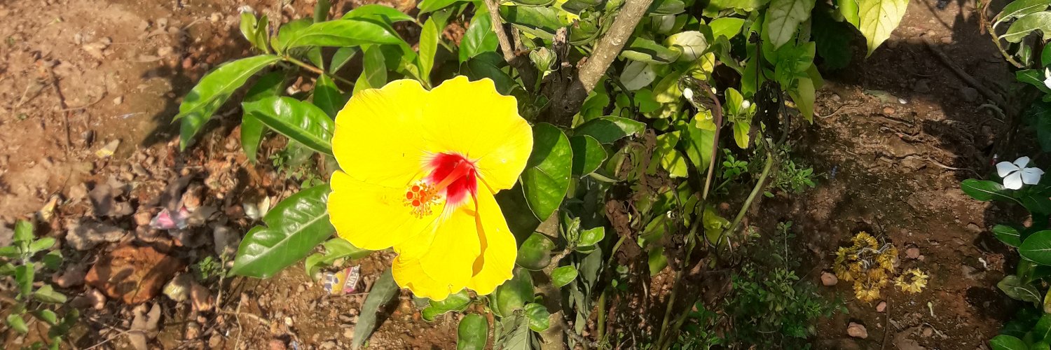 RAVIPRASADM's profile banner image