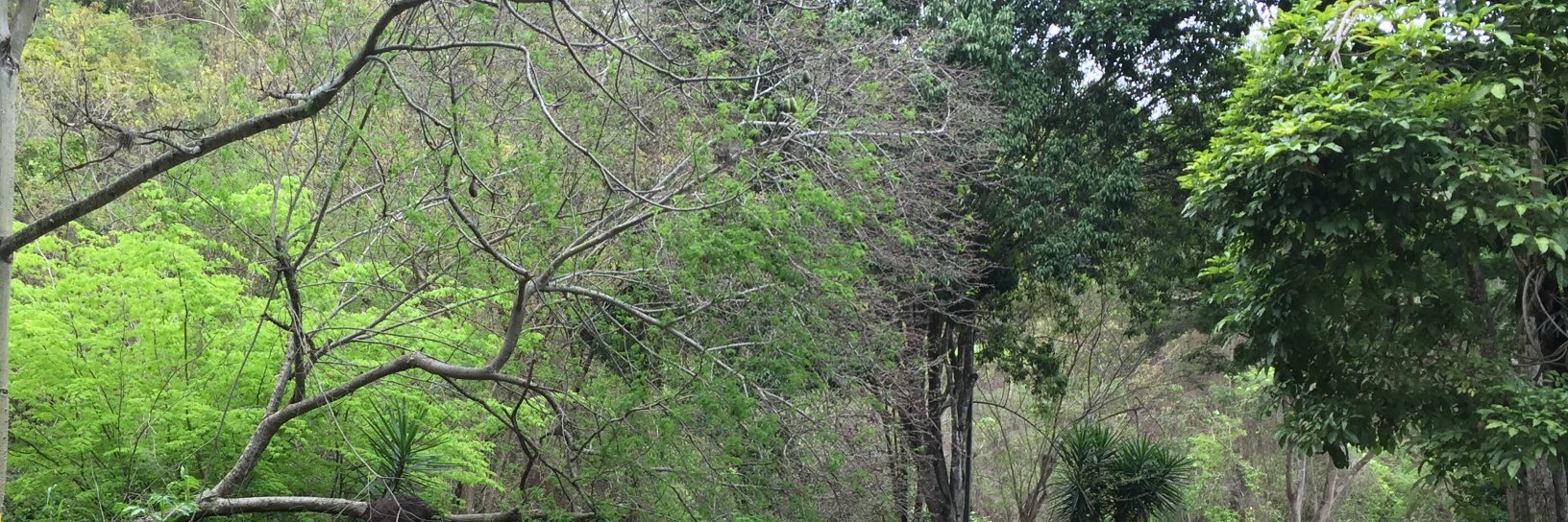 alfredolech's profile banner image
