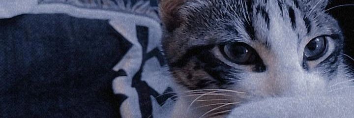 AgosBalmaceda3's profile banner image