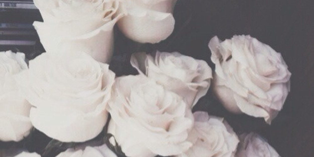 kaylamacyy's profile banner image
