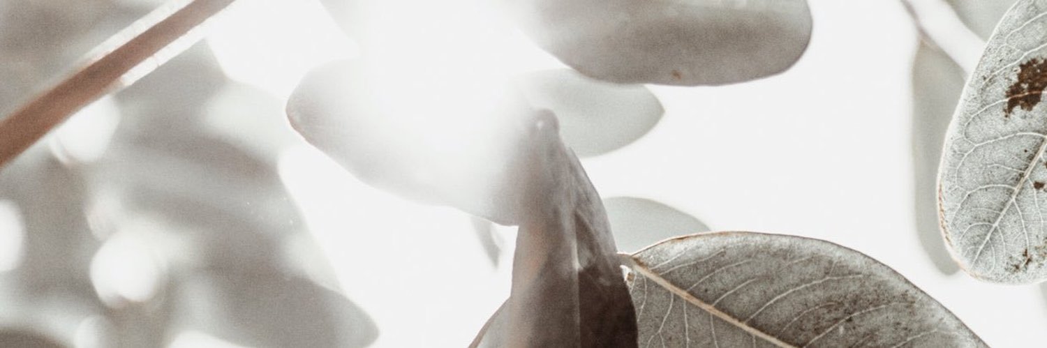 joumanhh's profile banner image