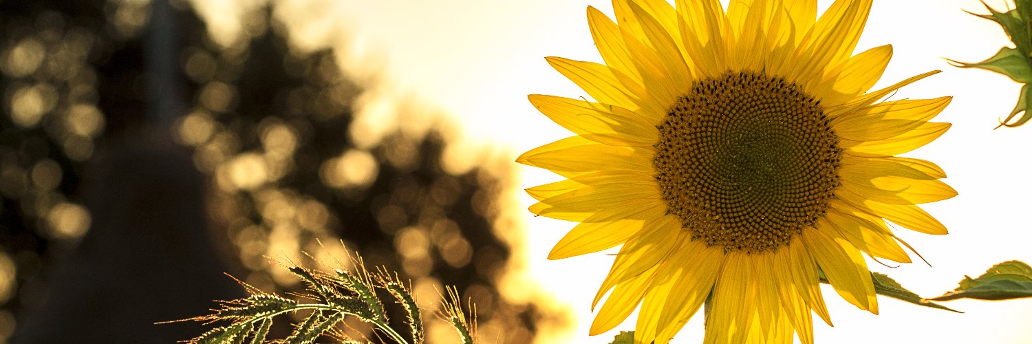 jukki27's profile banner image