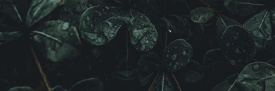 NigarAtmaca's profile banner image
