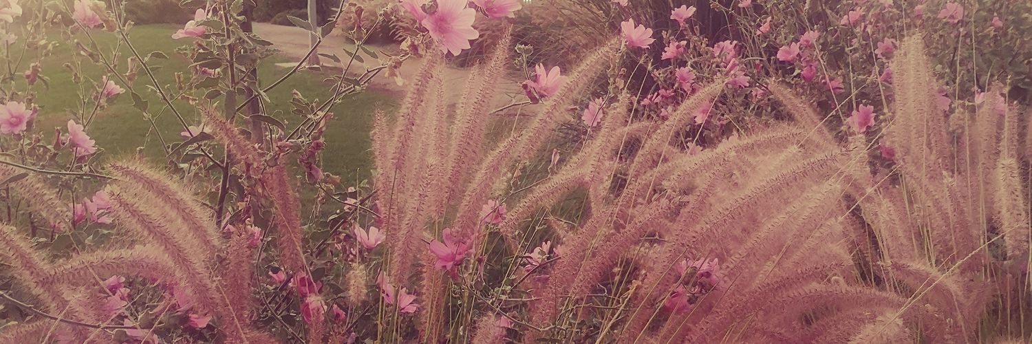 PobleteLuz's profile banner image