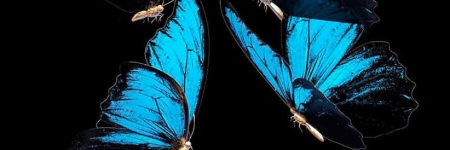 last__emperor's profile banner image