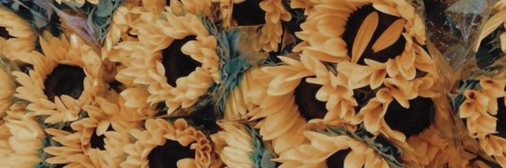 prkert_'s profile banner image