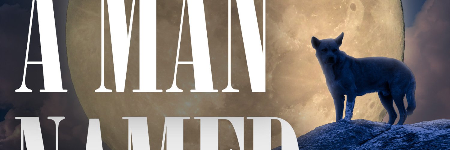 Jim Nelson banner