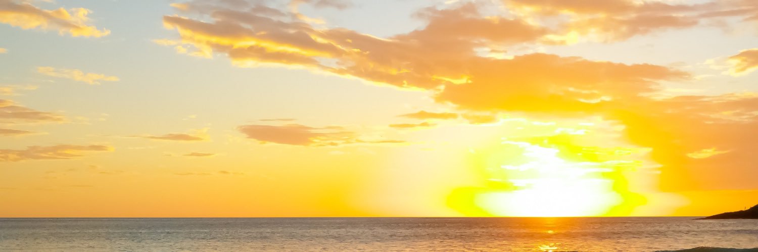 pediamini's profile banner image