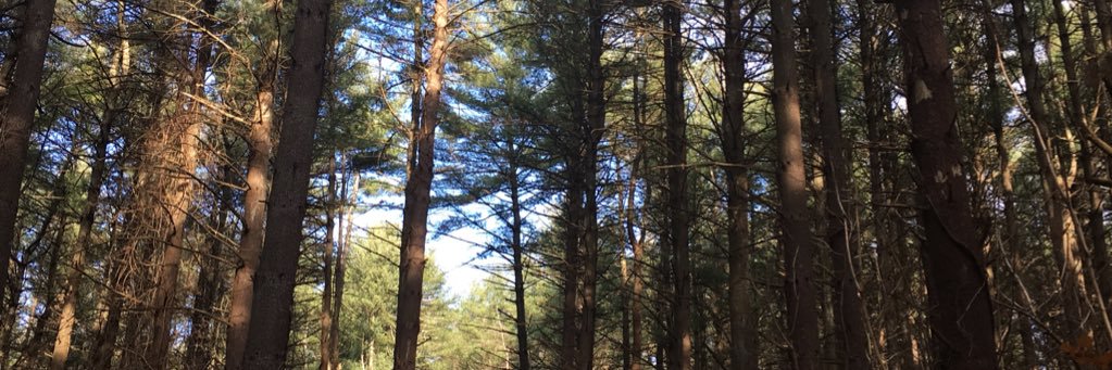 tinye68's profile banner image