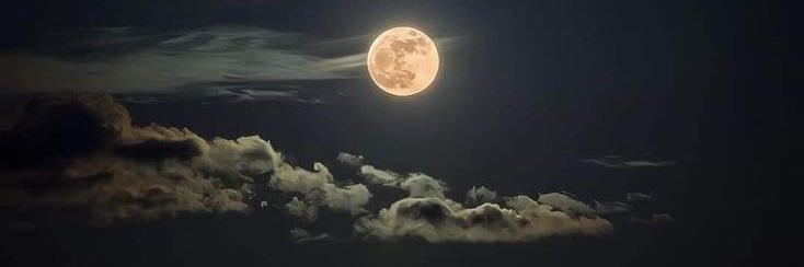 lightgent's profile banner image