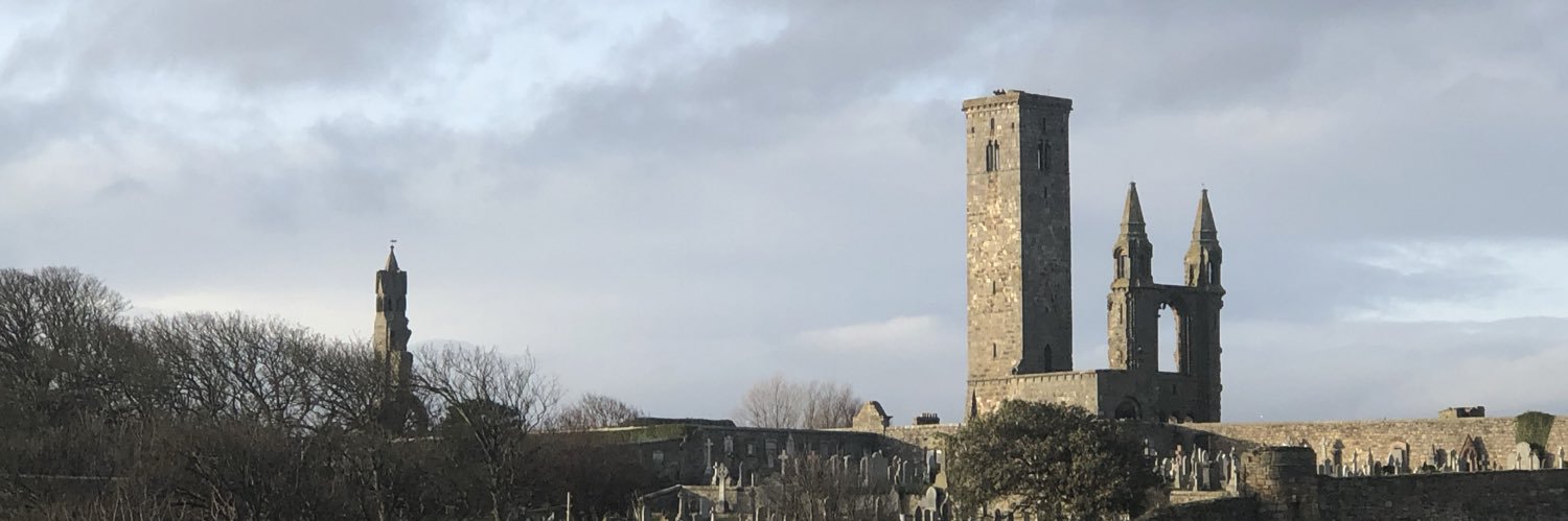 Pilar R. de Lamo banner