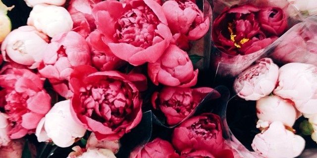 cheerfullyirwin's profile banner image