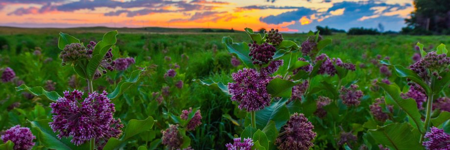 Conservation Blueprint banner