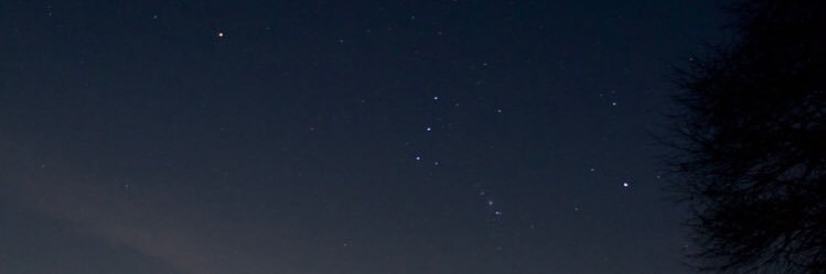 pneumopathy's profile banner image