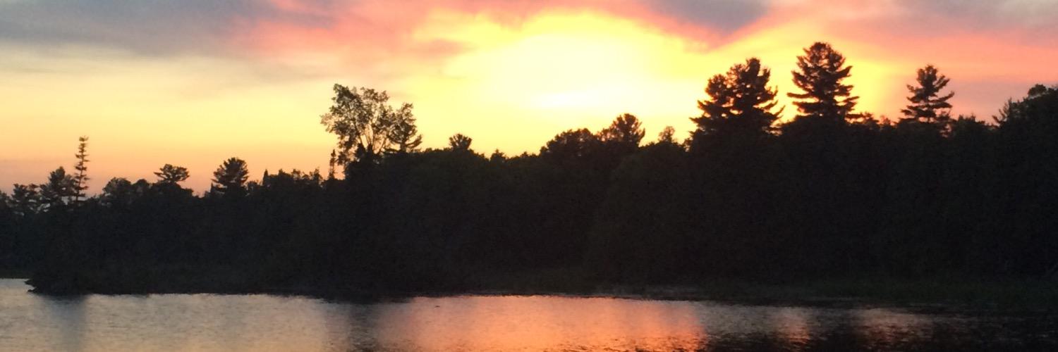 rachelmsolo's profile banner image