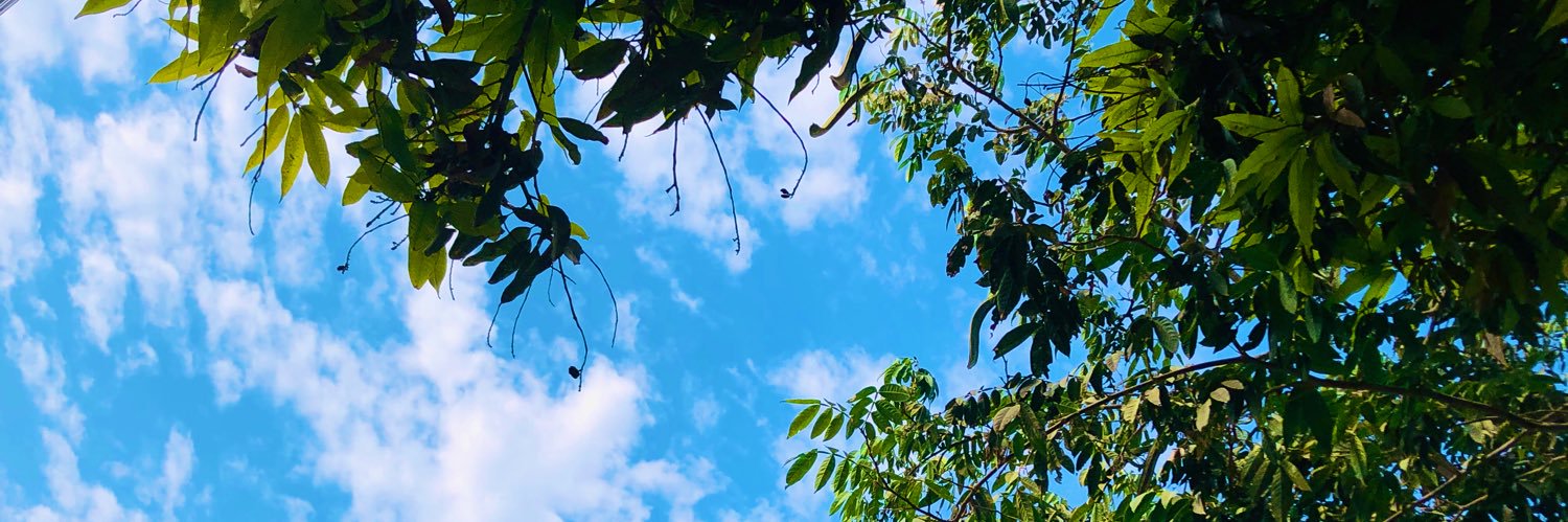 Saharann26's profile banner image