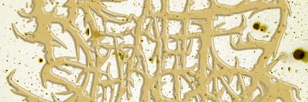 RealityShaping Profile Banner